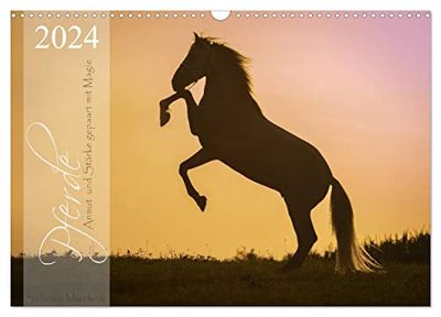 Pferde - Anmut und Stärke gepaart mit Magie (Wandkalender 2024 DIN A3 quer), CALVENDO Monatskalender: Ein Pferdekalender voller Magie