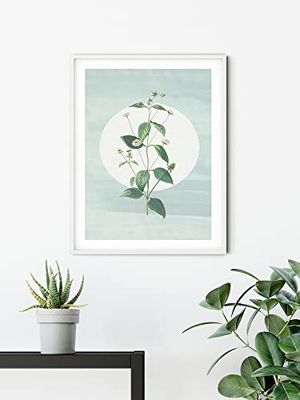 Komar Mural de pared – Faire Pousser des Fraises – Tamaño: 40 x 50 cm – Póster, impresión artística, decoración de salón o dormitorio (sin marco)