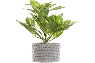 DKD Home Decor Pianta Decorativa Verde Grigio PVC EVA (18 x 18 x 32 cm)