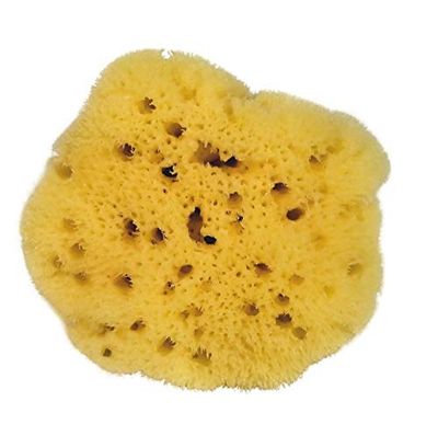 CROLL & DENECKE natuurspons, naturel