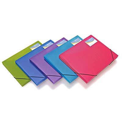 Rapesco 0804 Caixa de arquivo A4+, lombo de 25 mm, cores sortidas, 5 unidades