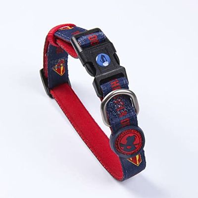 CERDÁ LIFE'S LITTLE MOMENTS - for Fan Pets | DC PetsDog Collier pour Chien – Licence Officielle DC Comics, Multicolore