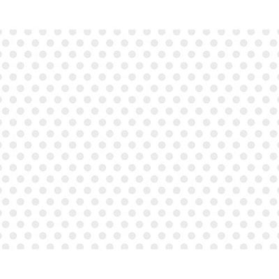 We R Memory Poster Board 22x28 Dots White