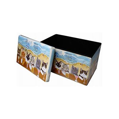 Biscottini Zitzak voor kinderen en volwassenen, 60 x 35 x 35 cm, hersluitbare opbergdozen met deksel, zitzak, vierkant met decoratie