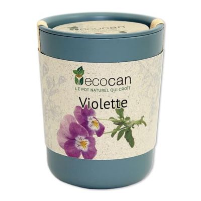 Feel Green Ecocan, Violette Certifiées Bio, Idée Cadeau (100% Biodégradable), Grow-Your-Own/Kit Prêt-à-Pousser, Le Pot Écologique Qui Croît 9 x 7 cm, Produit en Autriche