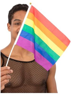 Smiffys- Hand Held Rainbow Flags, 45x30cm, 12pk Drapeaux Arc-en-Ciel à Main, Adulte Unisexe, Multicolore