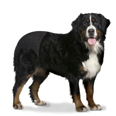 DUVO + Slip Perro (T-XXL 60-70 CM)