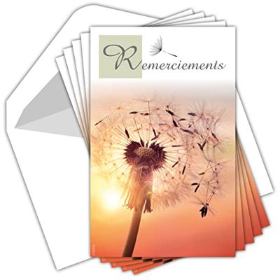 Afie C5269 Bag of 5 White Envelopes 135 x 85 mm with 5 White Envelopes - Dandelion Seeds, Sunset