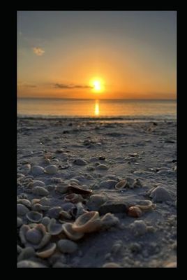 Live.Love.Nature. Sunset 1