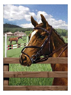 Pracht Creatives Hobby Royal & Langnickel - Peinture par numéros Chevaux, contient des couleurs et des pinceaux, pour adultes et enfants à partir de 8 ans