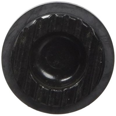 SRAM AVID Substituição pistões pinça Db5