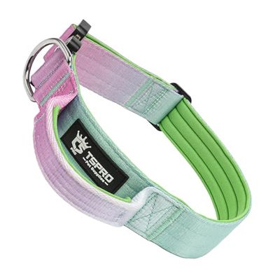TSPRO Premium Hondenhalsband met Handgreep, Verstelbare Dikke Halsband met Snelontgrendelbare Gesp, Zwaar Belastbaar voor Middelgrote tot Grote Honden (Cyan Gradiënt L)