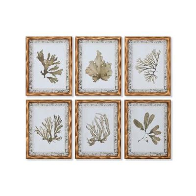 Home ESPRIT Tableau Vert Beige doré Plantes botaniques 28 x 2,8 x 36 cm (6 unités)
