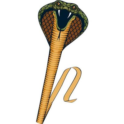GÜNTHER FLUGSPIELE 1154 - Einleinerdrachen Cobra, cerf-volant en forme de serpent, impressionnant dragon silhouette, avec tiges en fibre de verre, poignée enroulée et corde, env. 69 x 400 cm de taille