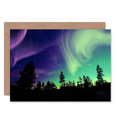 Fine Art Prints CLDT0167 Pine Trees Silhouette Northern Lights Greeting Card With Envelope Inside Premium Quality,Black|green,12.5 x 17.5 cm