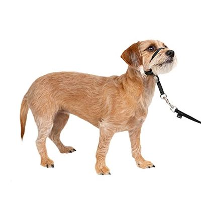 PetSafe - Licol Easy Walk pour Petit Chien (S), Confortable, Anti-Traction, avec Laisse en Nylon (Inclus) - Noir