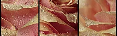 Scenolia Maithe - Cuadro de cristal acrílico (130 x 40 cm), color blanco