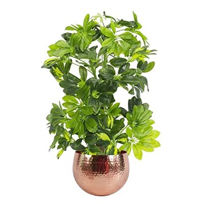 Botanik Artificial Office Plants