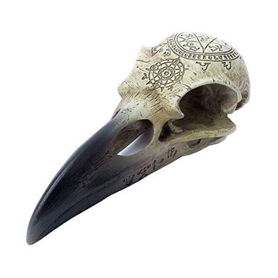 Alchemy Gothic Omega czaszka kruka