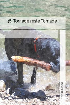 36. Tornade reste Tornade (La vie de Tornade)