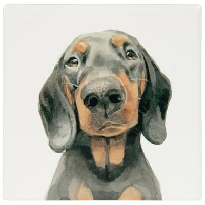 Lesser & Pavey Dachshund Coaster Robert James Hull For Home & Office | Stylish Coasters For Kitchen & Dining | Durable Drinks Coasters For Tabletops | Decorative Home Accessories for Drinks & Tables
