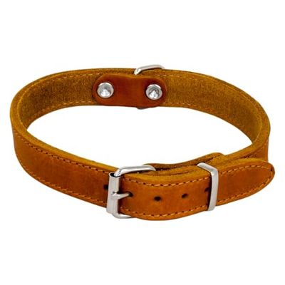 Jack and Vanilla - Collar para Perro de Piel Grasa, Material sólido, Duradero, fácil de Mantener, Tacto Suave y Agradable, Aspecto Moderno, Color coñac, tamaño 25 mm x 55 cm