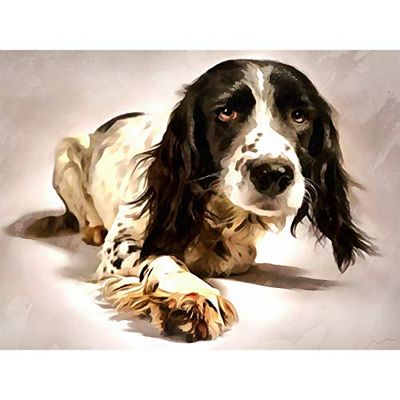 Springer Spaniel - Lienzo decorativo para pared, diseño de perro