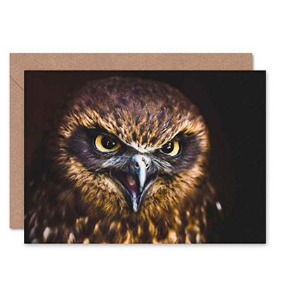 Wee Blue Coo CARD GREETING GIFT PHOTO CLOSE UP BIRD PREY HAWK EAGLE EYES BRIGHT