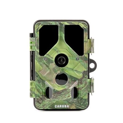 Caruba Wildcamera Toad Full HD – Connessione WiFi e Bluetooth con app WildCamera – Impermeabile IP66 – Risoluzione 24 megapixel – Con visione notturna fino a 20 metri