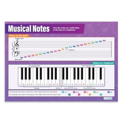 Musiknoter | Musikaffischer | laminerat glansigt papper som mäter 850 mm x 594 mm (A1) | Musikdiagram för klassrummet | utbildningsdiagram av Daydream Education
