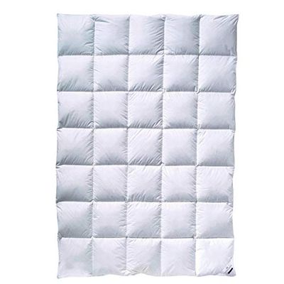 Billerbeck Martina Couette Toutes Saisons hypoallergénique 90% Plumes d'oie 10% Duvet d'oie 155 x 220 cm