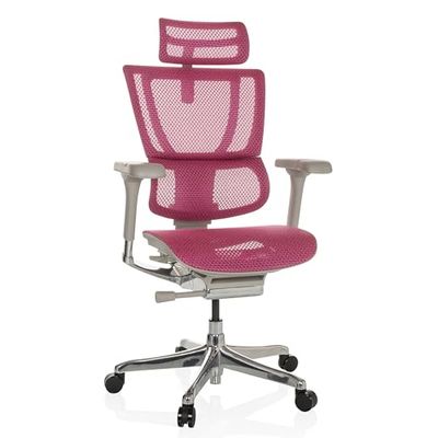 hjh OFFICE ergonomische bureaustoel ERGOHUMAN SLIM G GEN2 Origineel ontwerp, draaistoel met flexibele lendensteun, roze mesh