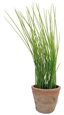Esschert's Design AH005 Petit Pot Artificiel en Terre Cuite vieillie – Ciboulette