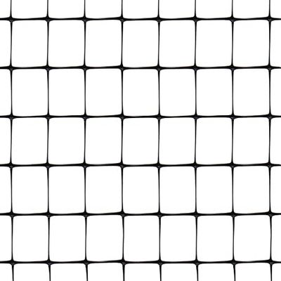 Tenax Aviary 2,00 x 10 m, zwart, kunststof hek, omheining voor huisdieren en binnenplaats, landbouwhekken, mollengaas