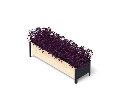 Upyard ModernBox Low Jardinière surélevée Moderne en Bois - pour Balcon, terrasse, Jardin - Jardinière pour légumes et Herbes - 118 x 36 x 32 cm - Bois Naturel
