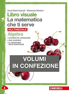 Libro visuale la matematica che ti serve. Algebra-Geometria 3. Per la Scuola media. Con e-book. Con espansione online