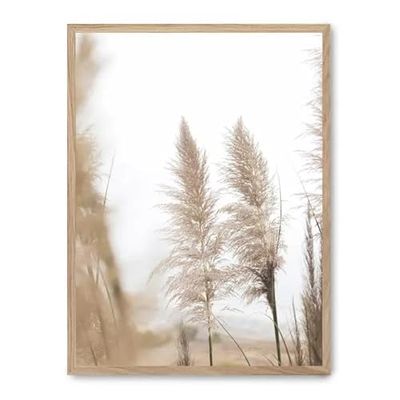 Cuadro pampas iii_FASE5
