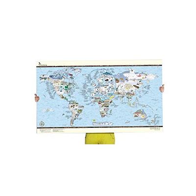 Surf System Carteles, Unisex Adulto, Multicolor, Talla única