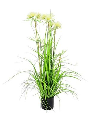 Europalms Europlams Star Grass 120 cm, flerfärgad