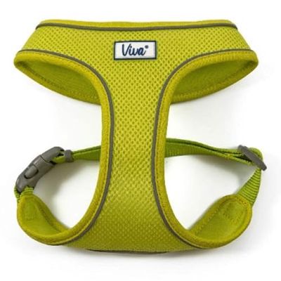 Ancol Haute visibilité en Maille rembourré Harnais pour Chien, XS