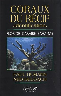CORAUX DU RECIF IDENTIFICATION (FLORIDE - CARAIBE - BAHAMAS)