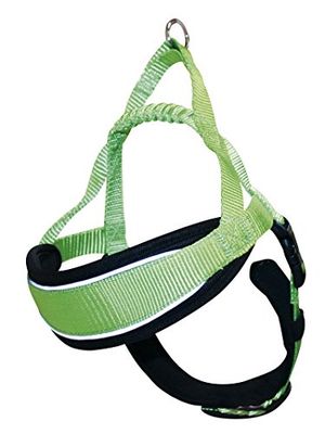 CROCI Endurance Hiking Harnais Suédois pour Chien Vert Taille XS