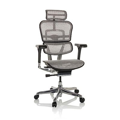 hjh OFFICE Silla de Oficina ERGOHUMAN I Silla de Oficina ergonómica de Malla con Soporte Lumbar Flexible, Gris Claro, 652275