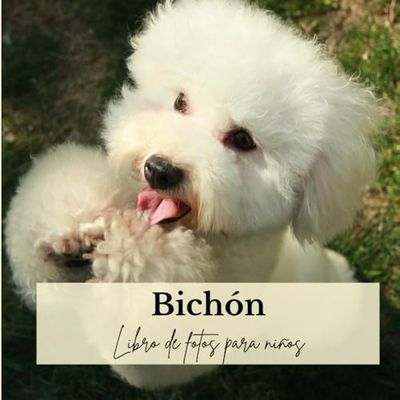 Bichón: Libro de fotos para niños