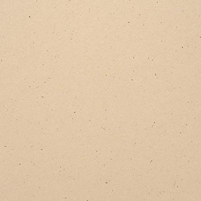 American CraftsSpeckle 12X12 Naturalstone