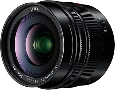 Panasonic H-X012E Groothoek Cameralens, Zwart