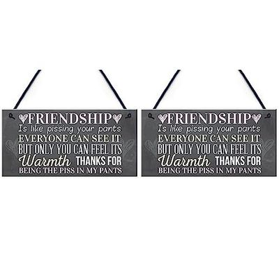 RED OCEAN Best Friend Sign Friendship Gift Funny Thank You Novelty Birthday Shabby Chic Hanging Plaque (Pack of 2)