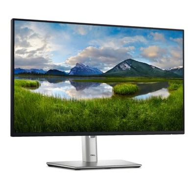 Dell 60.47cm/23.8" (1920 x 1080) P2425HE 16:9 FHD IPS 5ms 100Hz HDMI DP USB-C RJ45 Black/Silver
