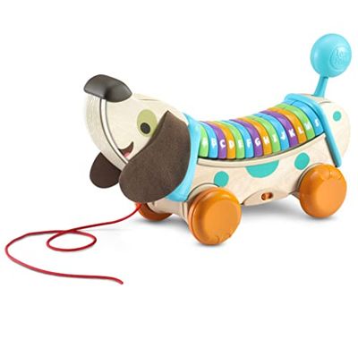 VTech VTech-80-615222 Eco Perrito Infantil Paseos, Descubre Letras y Canciones, Juguete de Arrastre para bebés +12 Meses, versión española, Multicolor, único (80-615222)