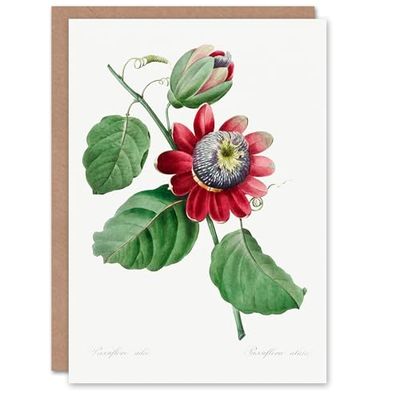 Artery8 Pierre-Joseph Redouté Art Card Vintage Passion Flower Illustration